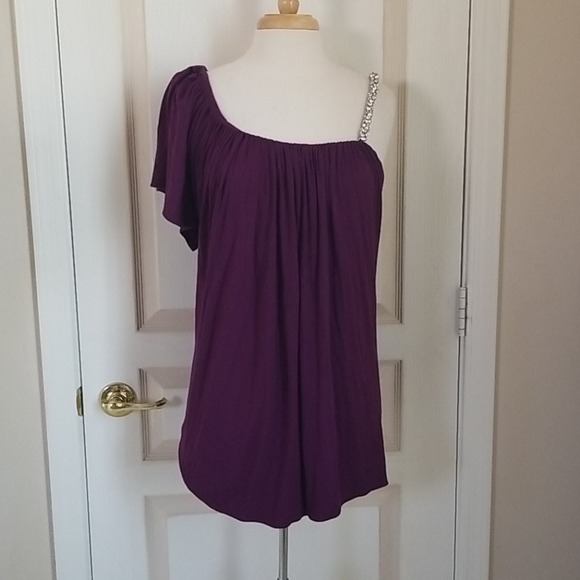 Sky Royal Purple Dress nwot